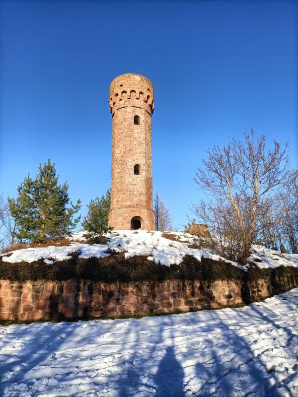 Haut-Rhin - Photo 3