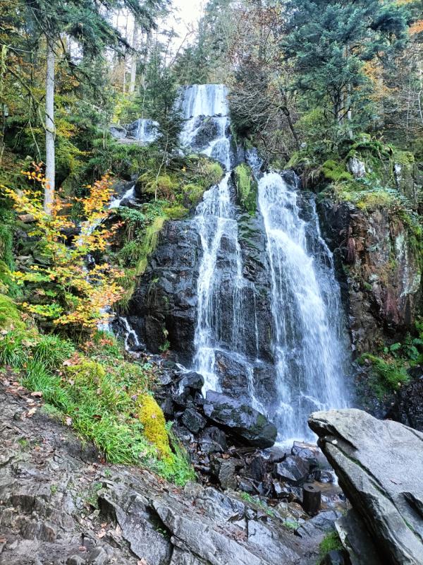 Vosges - Photo 2